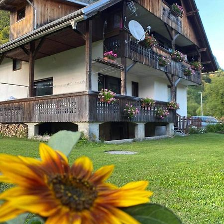 Apartment V&N, Lake Bohinj Eksteriør billede