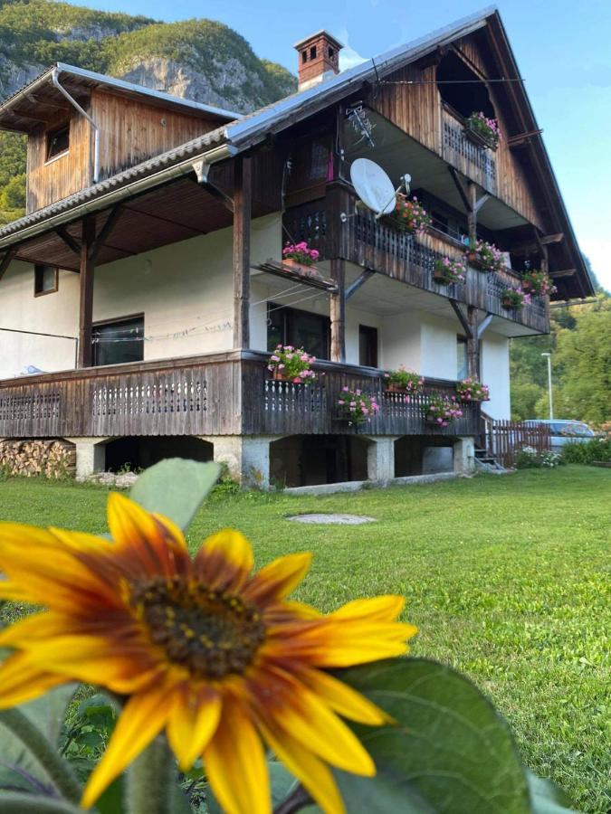 Apartment V&N, Lake Bohinj Eksteriør billede